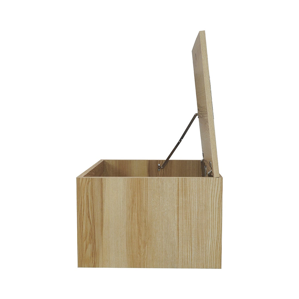 BLOGGER Storage Chest
