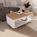 GANSO Coffee Table